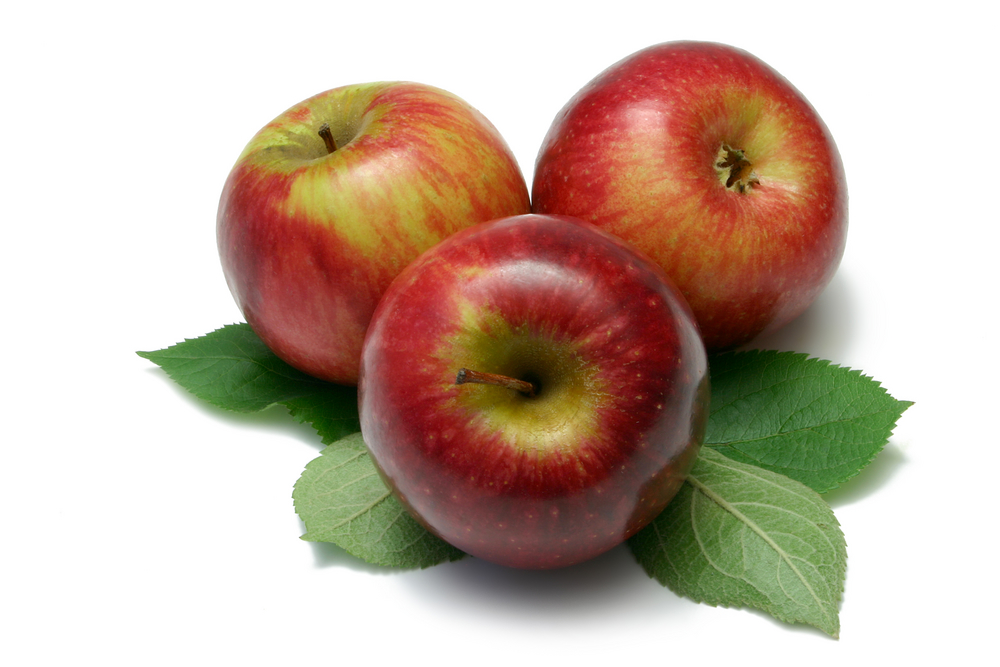 Organic Apples Jonathon (15kg/crate)