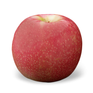 Organic Apples Lady William Premium (1kg)